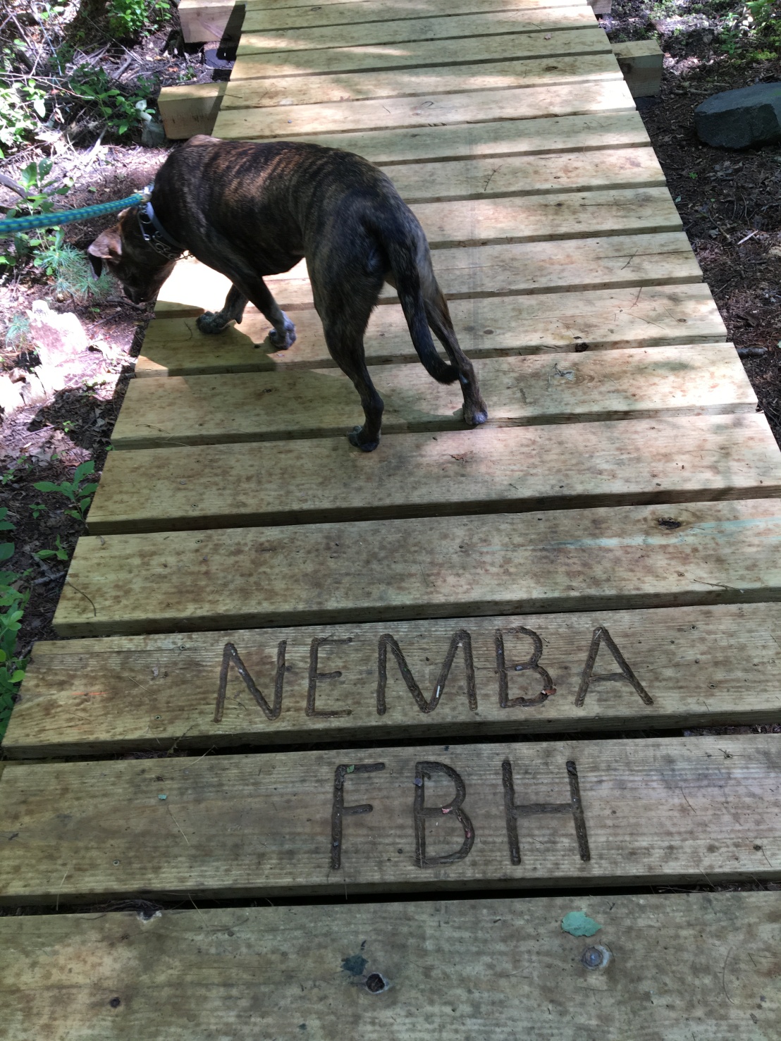 NEMBA FBH bridge on Forest Path near Chickatawbut Road
