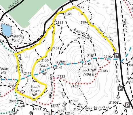 Blue Hills Hike #5: Forest Path, Dark Hollow, and North and South Boyce Hills