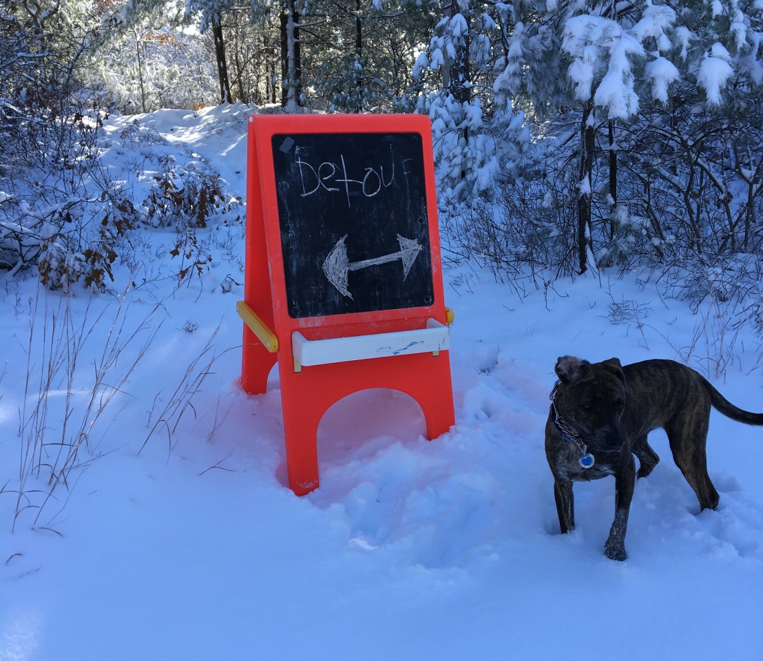 Bella next to a detour sign south of the weather observatory