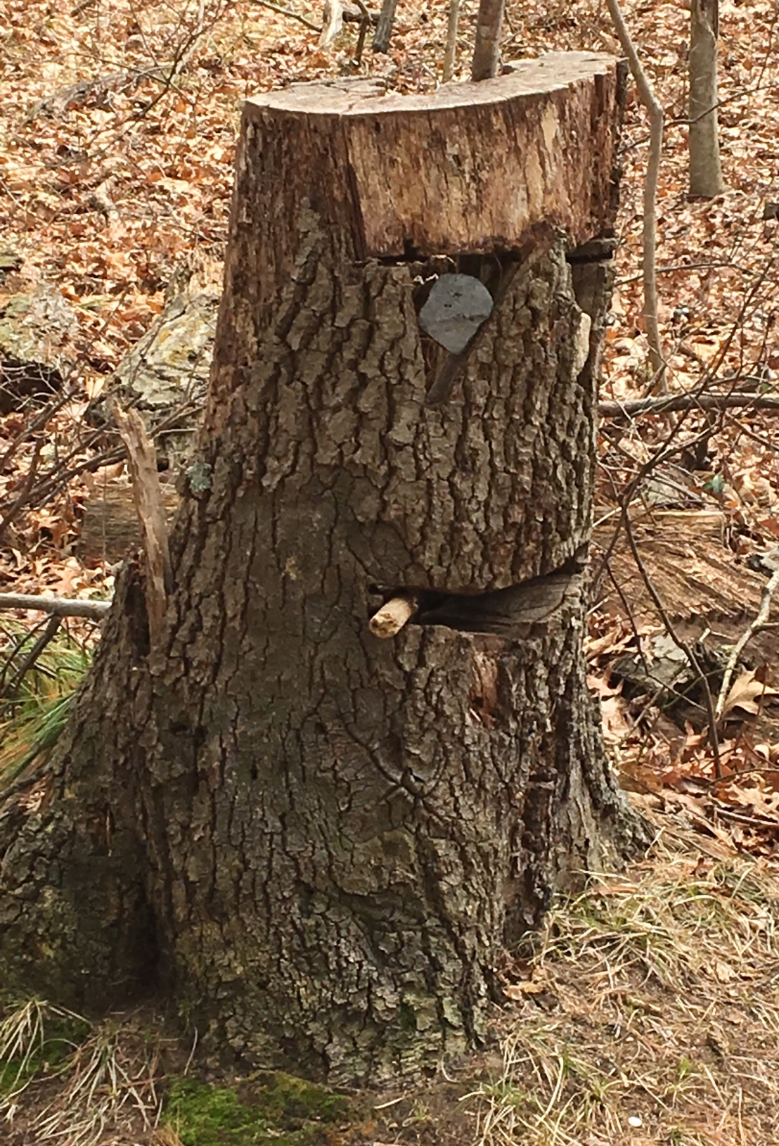 A tree stump carved to look like a face
